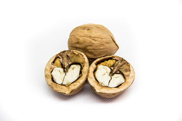one indoor and one outdoor walnut in the campsite on white background