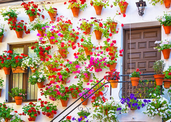 Nice patio with flowers and pond in Cordoba, Spain
