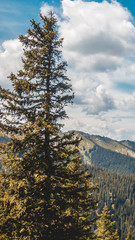 Smartphone HD wallpaper of beautiful alpine view at Leogang - Tyrol - Austria