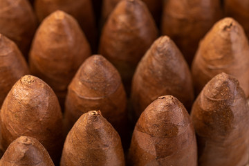 Cuban cigar. Sharpness on the front cigars. The effect of shallow depth of field. Macro shooting