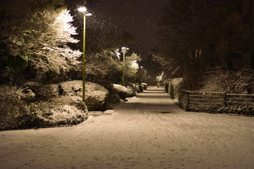 winter it is snowing in the city lanterns in the night