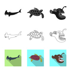 Isolated object of sea and animal symbol. Collection of sea and marine vector icon for stock.