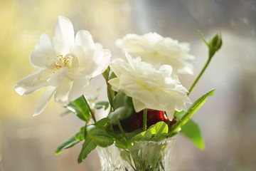 Beautiful bouquet of flowers in vase on sunny window background.