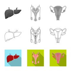 Isolated object of body and human sign. Set of body and medical stock symbol for web.