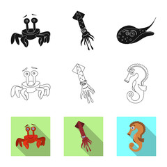 Vector design of sea and animal sign. Set of sea and marine stock vector illustration.
