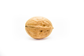 one indoor walnut in the campsite on white background