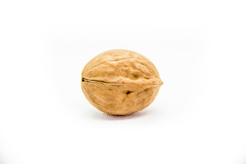 one indoor walnut in the campsite on white background