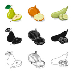 Isolated object of vegetable and fruit symbol. Collection of vegetable and vegetarian stock vector illustration.