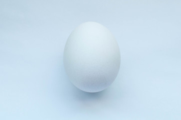 White egg on white background