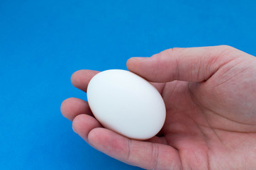 white chicken egg in the male palm
