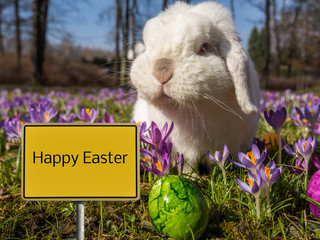 Happy Easter Sign with Bunny