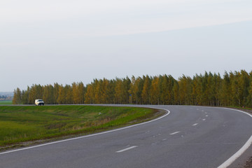 Fototapeta premium beautiful colors of the autumn forest by the road
