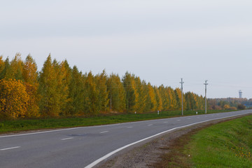 beautiful colors of the autumn forest by the road