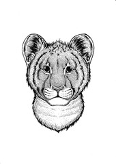 African animal. Wild tiger. Small animal. Cute print for children clothes.
