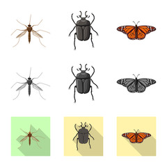 Vector illustration of insect and fly logo. Collection of insect and element stock symbol for web.