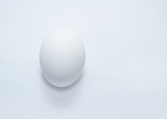 Chicken egg on a gray background.