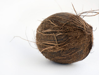 A ripe brown whole coconut on light background