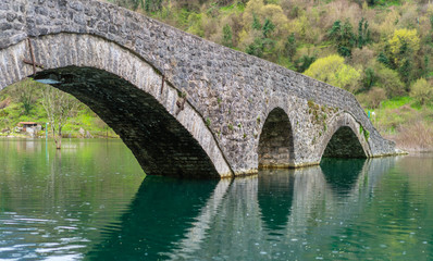 Fototapeta na wymiar Ancient stone arch bridge in Rijeka Crnojevica