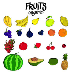 vector set of different hand drawn fruits