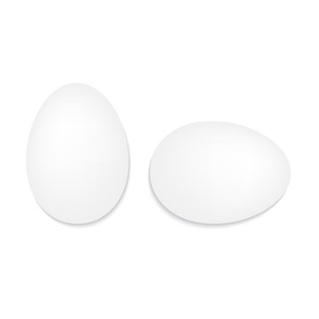white eggs on a white background- vector illustration