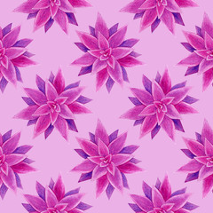 Purple succulents seamless pattern. Watercolor hand drawn painting illustration. High resolution 600 dpi. Isolated on light pink background. Color of background can be easily changed