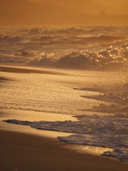 Plaża w zachodzie słońca