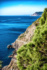 Riomaggiore and the Ligurian Sea Cinque Terre Italy