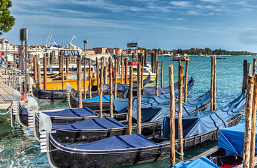 Blue Tarped Gondolas at San Marco Basin