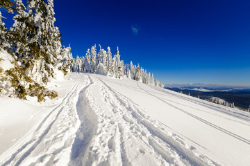 Winter trekking Beskidy mountains Rysianka