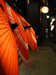 umbrella on a background