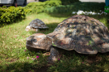 Stone sculpture of a turtle in the park on the background green trees. A Cute Stone Turtle Made of Stone in a Lovely Yard Setting
