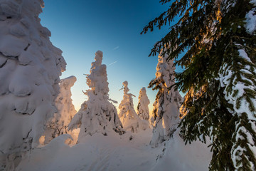 Winter trekking Beskidy mountains Rysianka