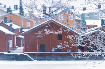 Fototapeta na wymiar Frozen branch of a tree against an old house