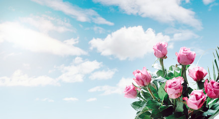 A bouquet of roses in sky background