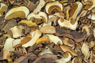 Getrocknete Waldpilze