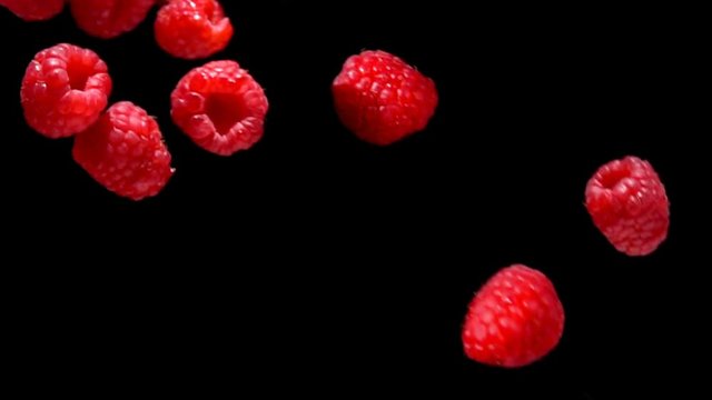 Slow motion of ripe raspberry fly and rotates in the air on a black background