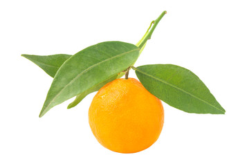Orange mandarin with green leaf
