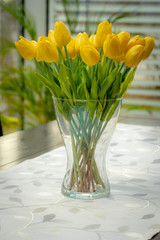 gelbe Tulpen