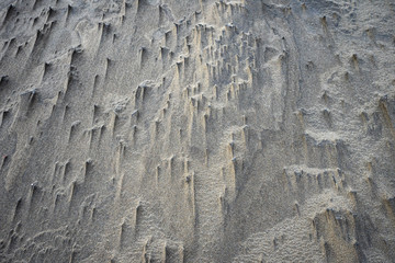 motis sculptés par la force du vent sur le sol d'une plage  de sable