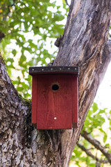 Red wooden bird house in a tree. Home made.