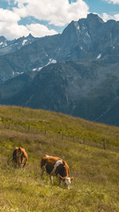 Fototapeta na wymiar Smartphone HD wallpaper of beautiful alpine view at Mayrhofen - Zillertal - Tyrol - Austria