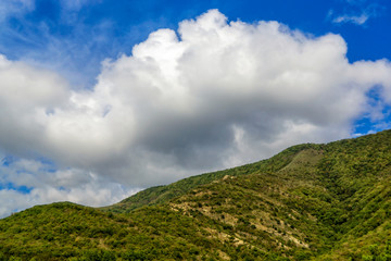 Fototapeta na wymiar Fluffy white cloud over the green mountain slope