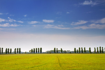 Campagna del Lodigiano (Lombardia)