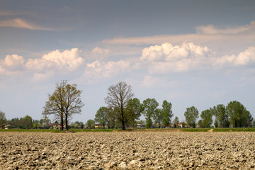 Obraz premium Campagna del Lodigiano (Lombardia)