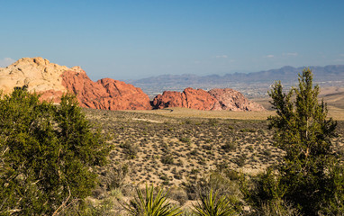 The Dessert Just Outside the Las Vegas Strip