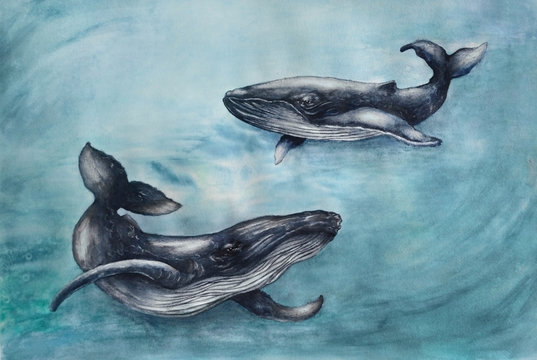 Watercolor with a pair of large gray whales in blue water. Illustration with animals made by hand.