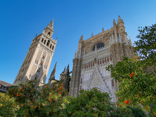 Obraz premium View on the beautiful Cathedral of Seville, Spain