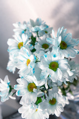 Vertical. Bouquet of white-blue flowers