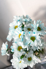 Vertical. Bouquet of flowers on white background