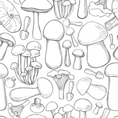 Hand drawn  mushrooms.  Vector  seamless pattern